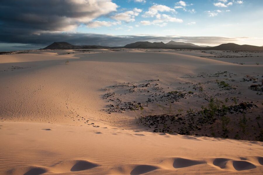Fuerteventura: Dune Buggy Tour in Northern Fuerteventura - Who should book this dune buggy tour (and who may want to rethink)
