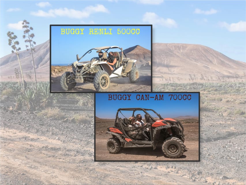 Fuerteventura: Dune Buggy Tour in Northern Fuerteventura - Meeting up at Corralejo and picking your buggy (white, red, or family)