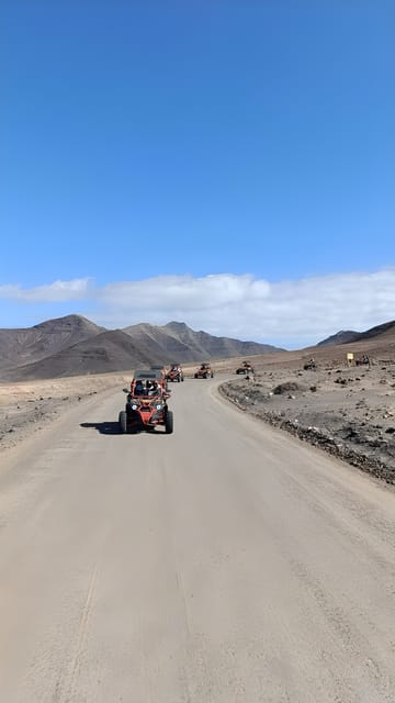 Fuerteventura: Jandía Natural Park & The Puertito Buggy Tour - Pickup from Jandía and the south coast: door-to-door without hotel hunting