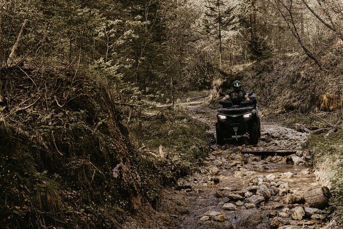 Full-Day Quad Rental in Bled - Price and Value: $168.20 for Up to Two Riders