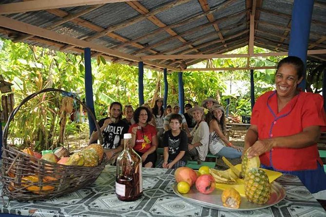 Full-Day Tour 4x4 ATV, Water Cave, and Snorkeling Cruise - The coffee-and-cacao farm stop: why this quick tasting is worth it