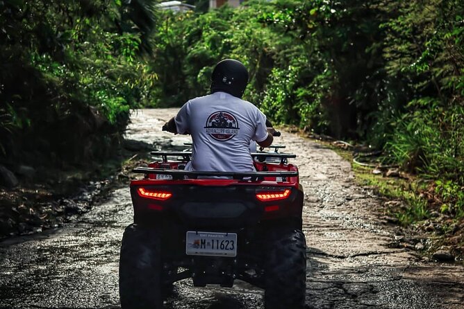 Full Island ATV-UTV Guided Tour in Dutch and French St. Maarten - Dawn Beach finale: wildlife feeding on the last leg