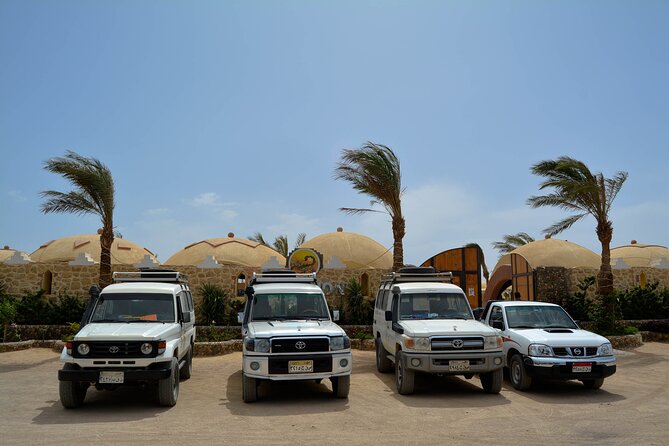 Fun Safari ATV, Buggy Car and Dinner, Show-Hurghada - Value and Extras: Is $38.38 a Good Deal?