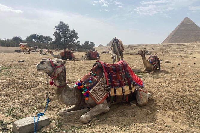 Giza Pyramids,Sphinx,Camel Ride,ATV Bike,Shopping, Dinner cruise - Camel Ride: Classic Giza, Best as a Moment, Not a Mission