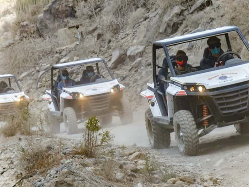 Gran Canaria Guided Buggy Tour - Key highlights at a glance