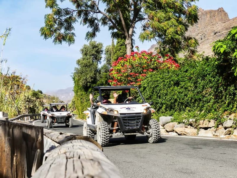 Gran Canaria Guided Buggy Tour - Guides who do the funny-safety balance (and named favorites)