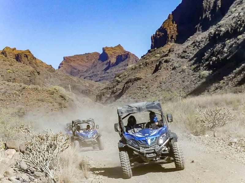 Gran Canaria Guided Buggy Tour - What to bring: licence, shoes, and dust control that actually helps