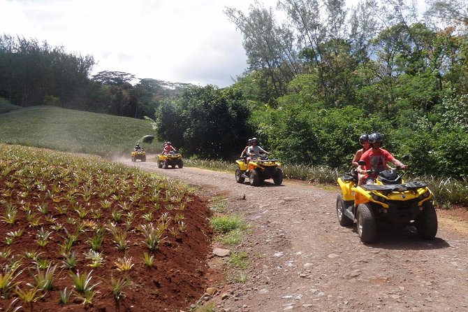 Grand Tour Quad Excursion in Moorea (Single or Two-Seater) - Stop 1: Pineapple Fields and a Look at Local Life