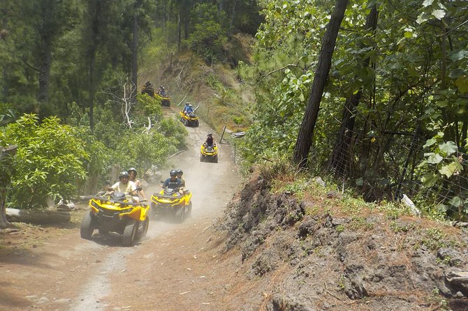 Grand Tour Quad Excursion in Moorea (Single or Two-Seater) - Fare Tutava Tasting Break: Local Products Without the Runaround