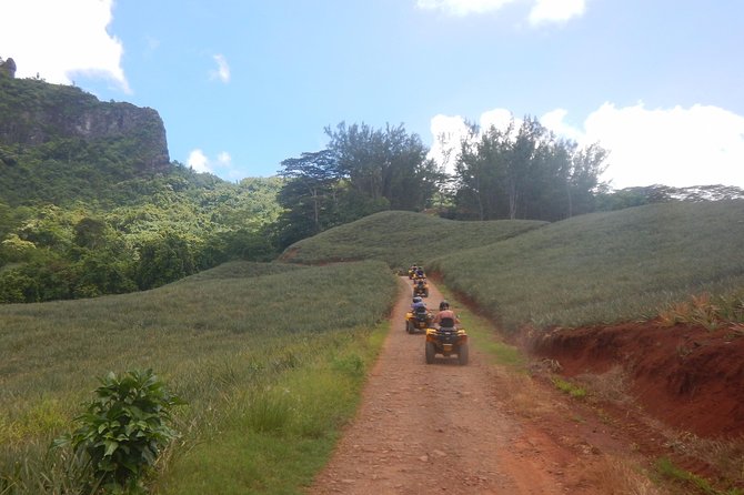 Grand Tour Quad Excursion in Moorea (Single or Two-Seater) - Single or Two-Seater Quads: How to Think About Comfort and Control