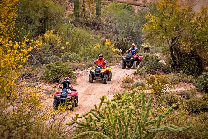 Guided Arizona Desert Tour by ATV - Centipede Tour - Key points that make the Centipede Tour worth your time