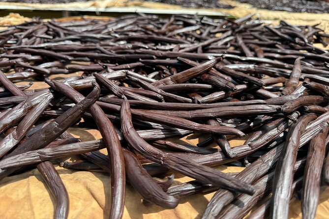 Guided tour of the island and its escapades in Tahaa by Quad / ATV - Stop 1: Vallee de la Vanille and Tahaa’s Vanilla “Black Gold”