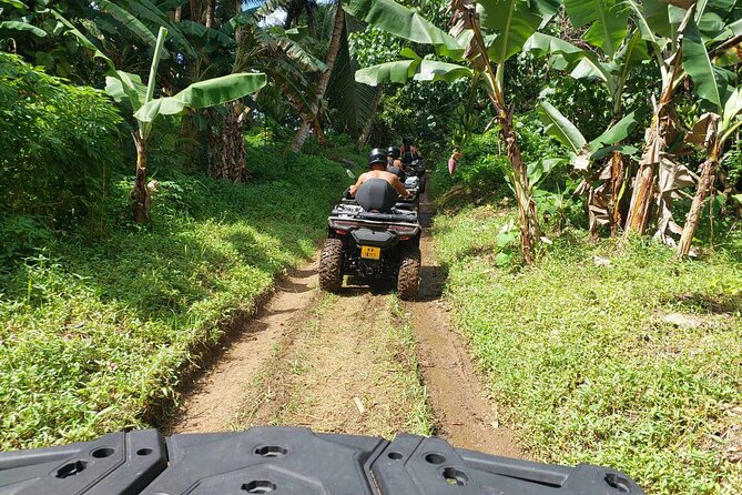 Guided tour of the island and its escapades in Tahaa by Quad / ATV - Stop 3: Love Here Pearl Farm and the Story of Pearl Life