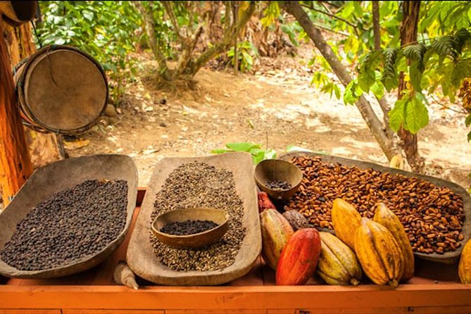Half-Day Adventure 4x4 ATV, Water Cave and Dominican Culture - What you see on the way: Taino Ecological Park vibes