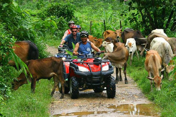 Half-Day Adventure 4x4 ATV, Water Cave and Dominican Culture - Price and logistics: what $64.72 buys you