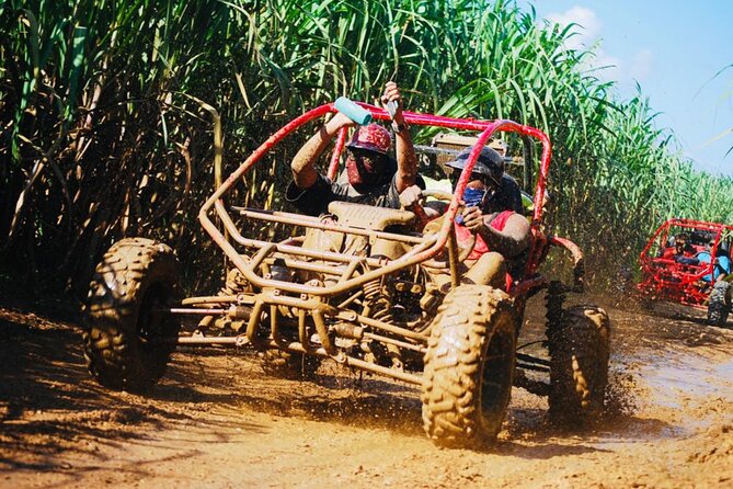 Half-Day ATV or Buggy 4X4 from Bayahibe - La Romana - Price and logistics from Bayahibe to La Romana