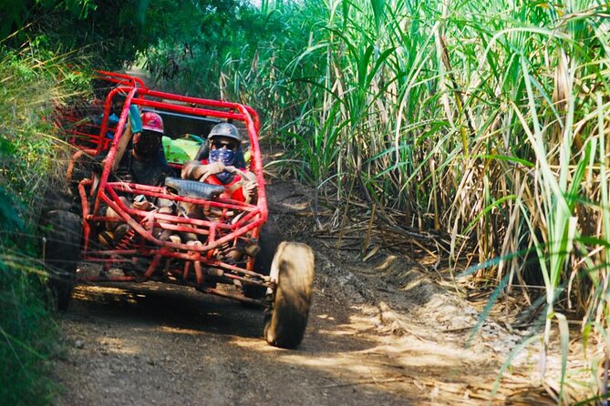 Half-Day ATV or Buggy 4X4 from Bayahibe - La Romana - What the buggy 4X4 ride feels like in real life
