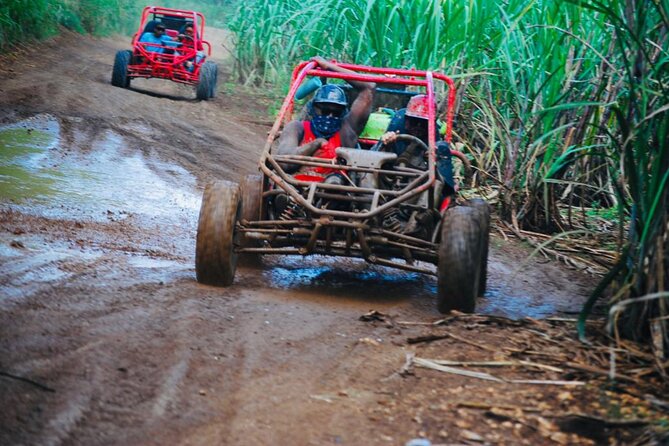 Half-Day ATV or Buggy 4X4 from Bayahibe - La Romana - Is it worth $75? My value take