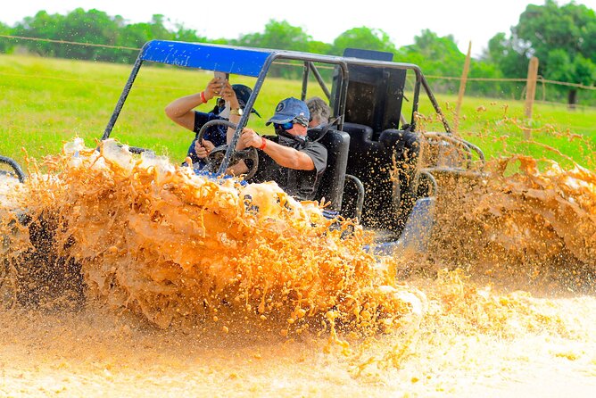 Half-day buggy adventure cenote and Macao beach in Punta Cana - Organic tastings: small stop, real Dominican flavor