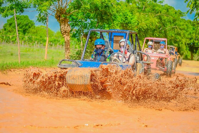 Half-day buggy OR ATV tour to Water Cave and Macao Beach - Key highlights at a glance
