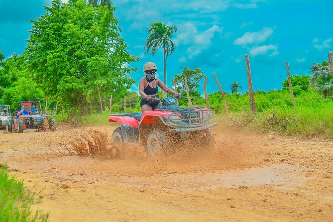 Half-day buggy OR ATV tour to Water Cave and Macao Beach - The organic farm stop: coffee, cacao, tea, mamajuana, and cigars
