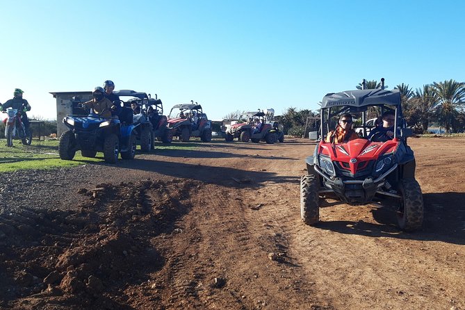 Half-Day Buggy Safari to Akamas Peninsula with Lunch - Price, Small-Group Value, and Who This Is For