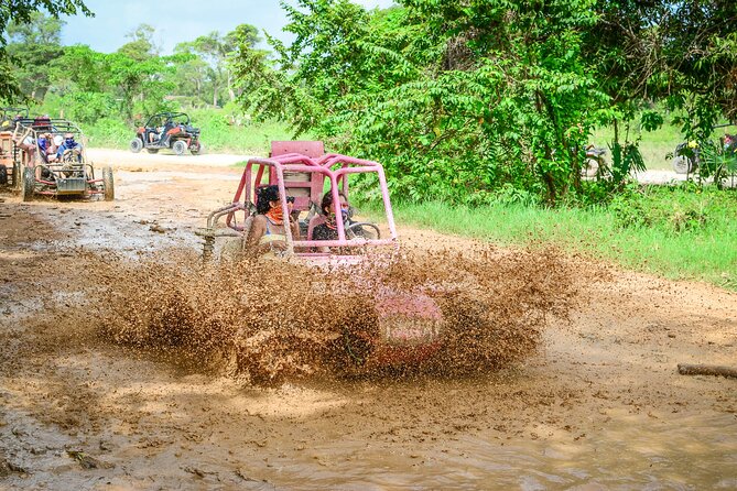 Half-Day Buggy Tour to Water Cave and Macao Beach - Organic farm stop: tastings are the win, not the scenery