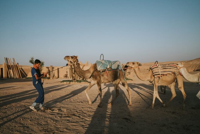 Half day in Agafay desert with Camel ride, Quad biking and dinner nomad tent - What to photograph in Agafay (and how to time it)