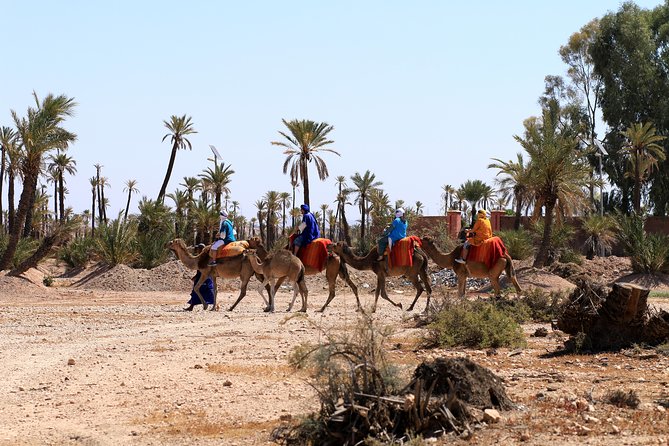 Half-Day Palm grove desert Quad & Camel Tour - Mint tea and the Berber home stop: why this part is worth it