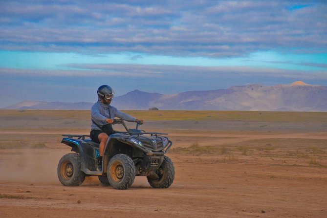 Half-Day Palm grove desert Quad & Camel Tour - How the 4-hour plan actually feels: pickup to La Palmeraie