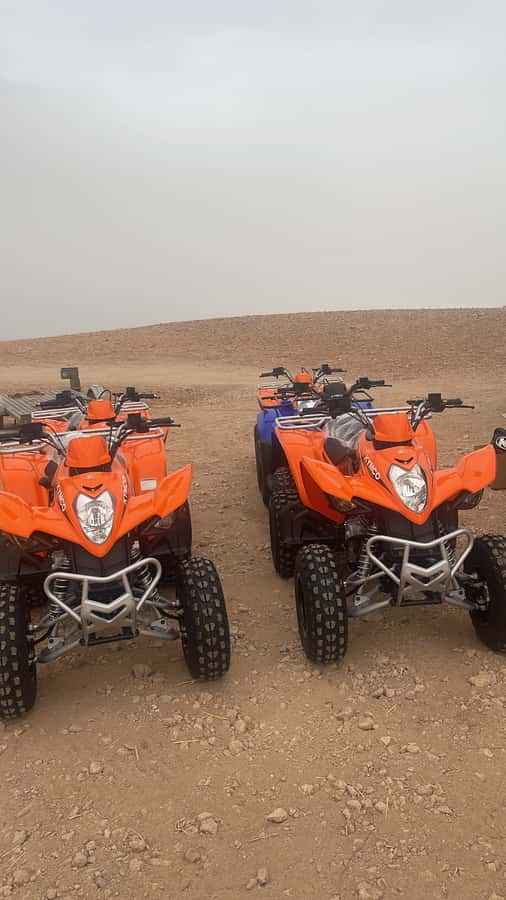 Half day Quad biking at Agafay Desert - Key highlights at a glance