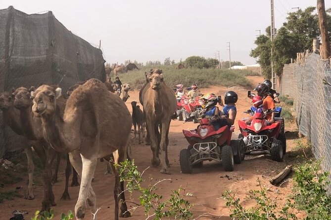 Half Day Quad in Agadir - How the 3-Hour Schedule Really Breaks Down