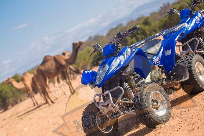 Half-day QUAD In Agadir + pick-up included from Agadir - Argan trees, sand tracks, and Berber village roads