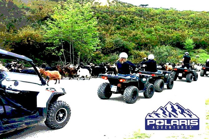 Half-Day Rethymno Quad Safari - Who should book this quad safari (and who should skip it)