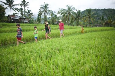 Haunted Valley Waterfall ATV and Bike Tour - The ATV Tracks: Jungle roads, villages, and mountain backroads