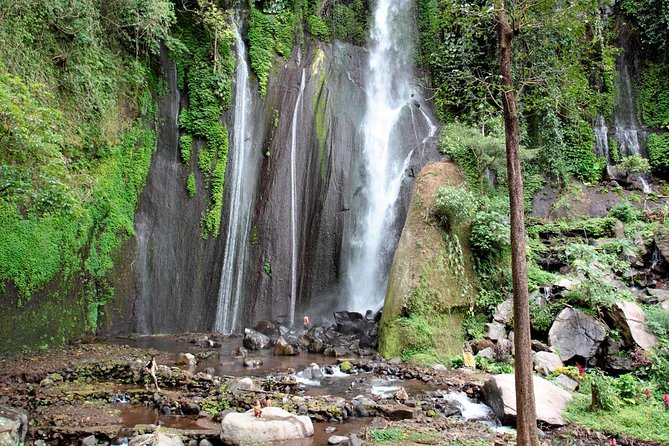 Haunted Valley Waterfall ATV and Bike Tour - Meal, mineral water, and roasted coffee: small comforts that help