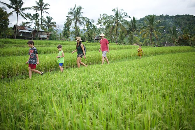 Haunted Valley Waterfall ATV and Bike Tour - The ATV Tracks: Jungle roads, villages, and mountain backroads