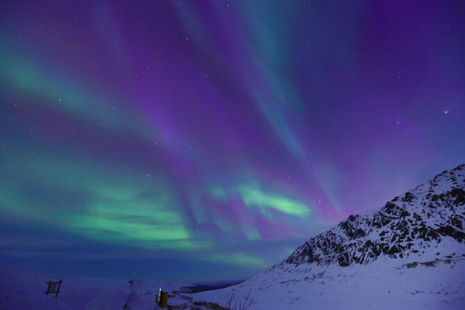 Heated and Enclosed ATV Tour in Alaska. Open All Year Round - Price and Value: $365 Per Group (Up to 4) That Adds Up