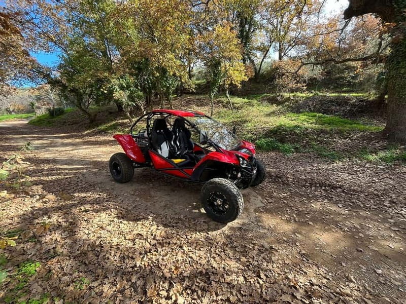 Hersonissos: Buggy Adventure Tour - Who Should Book This Buggy Highlights Tour?