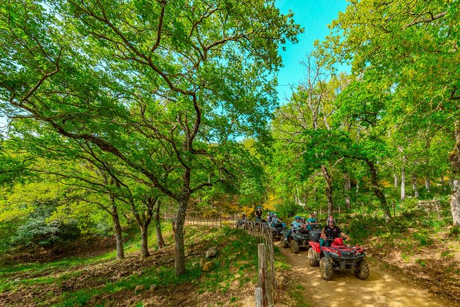 Hike on the trails of the ancient shepherds - 4h - Quad/ATV - Castelbuono walk-about and the Bar Fiasconaro taste