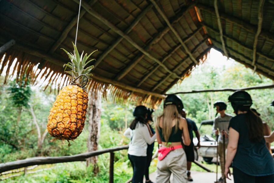 Holualoa: Polynesian Culture ATV Tour - Who This ATV + Polynesian Culture Tour Fits Best