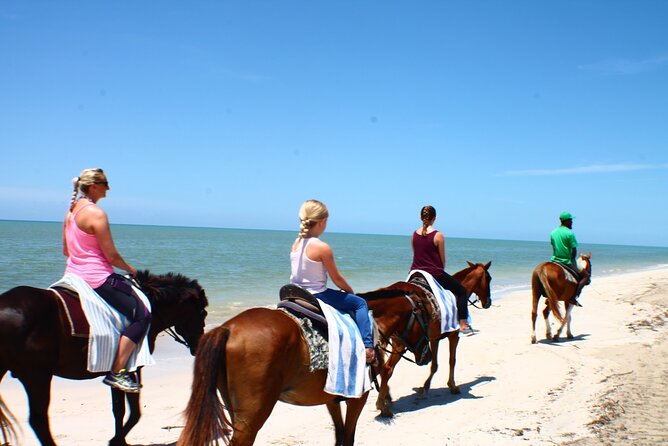 Horseback Ride ATV and Bamboo Rafting Tour Ocho Rios in Jamaica - Price and Value: What Your $90.91 Actually Buys