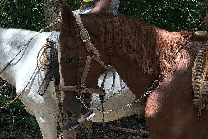 Horseback riding with ATV, zip lines and cenote, lunch and transfer - The big add-ons: photos and tequila (when they appear)