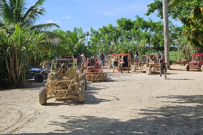 Horses, Buggy, and plantation in Chocaci Ranch - Key highlights worth planning for