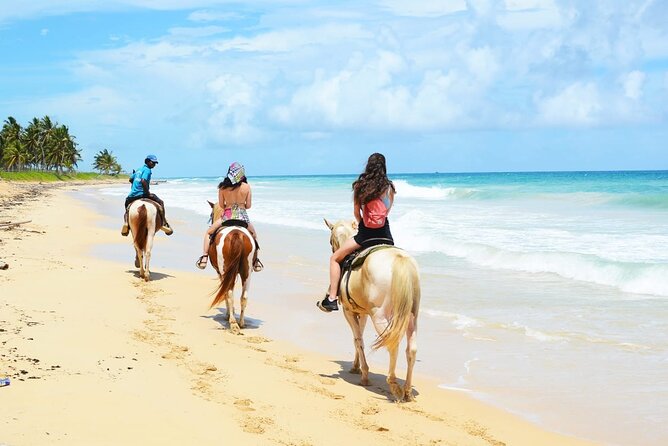 Horses, Buggy, and plantation in Chocaci Ranch - Rancho Chocaci: A Punta Cana plantation stop that feels local