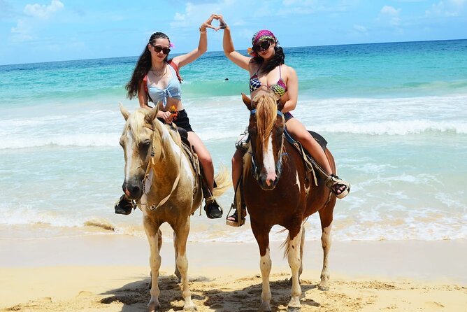 Horses, Buggy, and plantation in Chocaci Ranch - Price and logistics: what $115 per group buys you