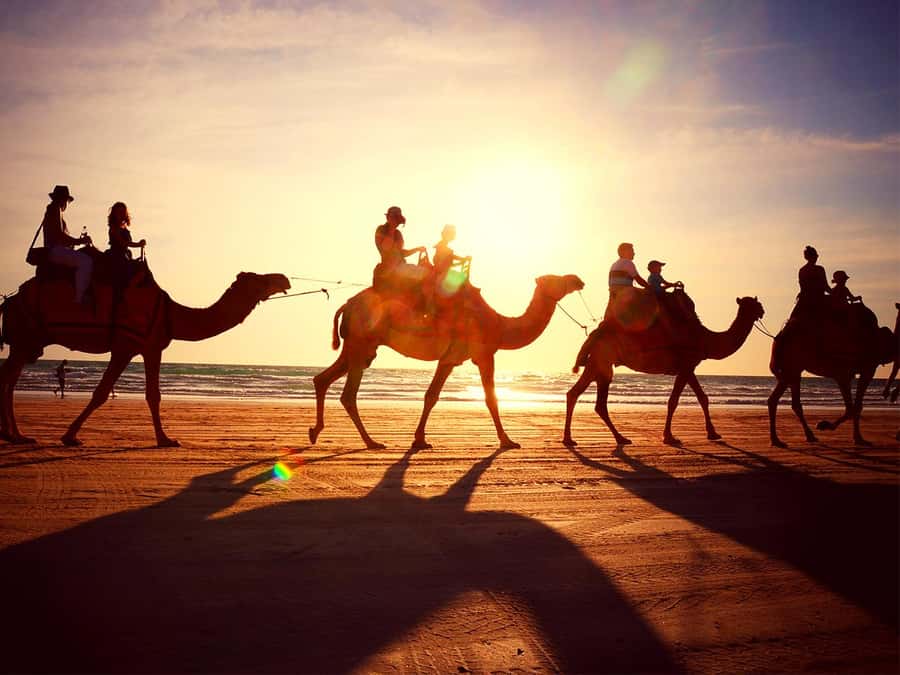 Hurghada: ATV Safari Tour with Camel Ride - Choosing Your Ride Time: Sunrise Breakfast, Day Quads, or Sunset Stargazing
