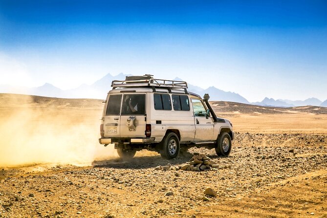 Hurghada Desert Safari Experience, ATV Quad, Camel Ride & Dinner - Dinner Under the Desert Sky and an Oriental Show