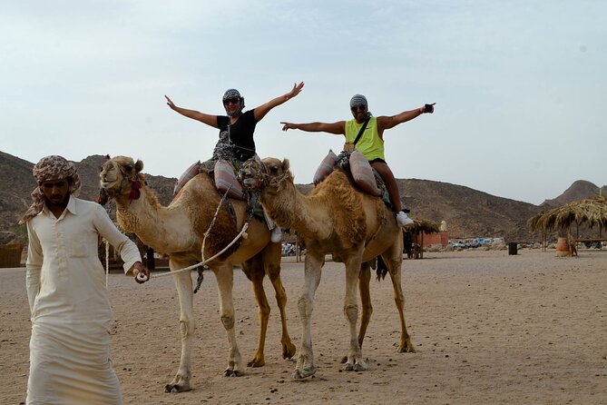 Hurghada Desert Safari on Quad Bikes With Camel for 3 Hours - Group size and crowding: what the max 30 travelers really means