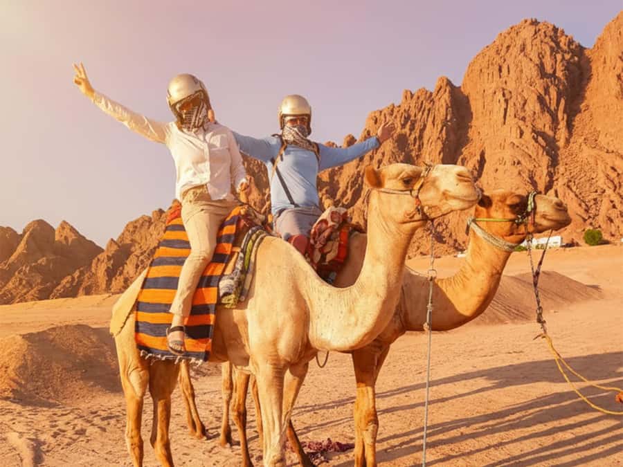 Hurghada: Full-Day Quad & Camel Ride, Stargazing, & Dinner - Key highlights you’ll feel on the day